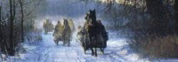 Galkowo - Ferensteins' Stud - sleigh ride
